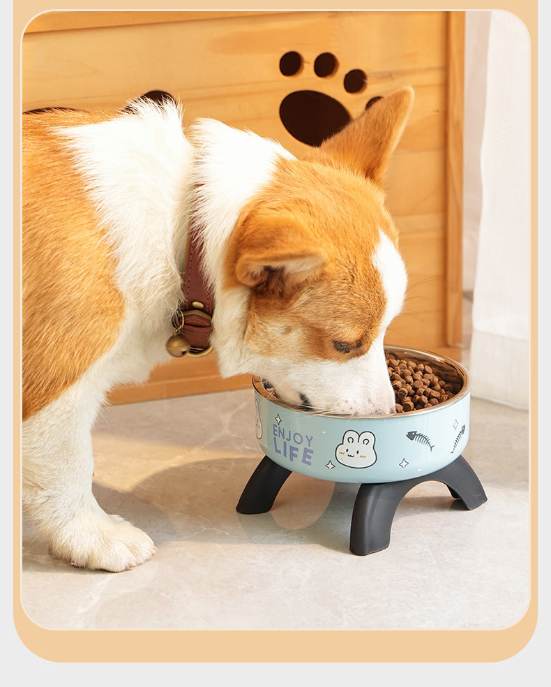 Cat High Bowl Neck Protection Cat Bowl Pet Stainless Steel Bowl Anti-slip Anti-overturning Dog Bowl Dog Food Gown Cross-border New Style