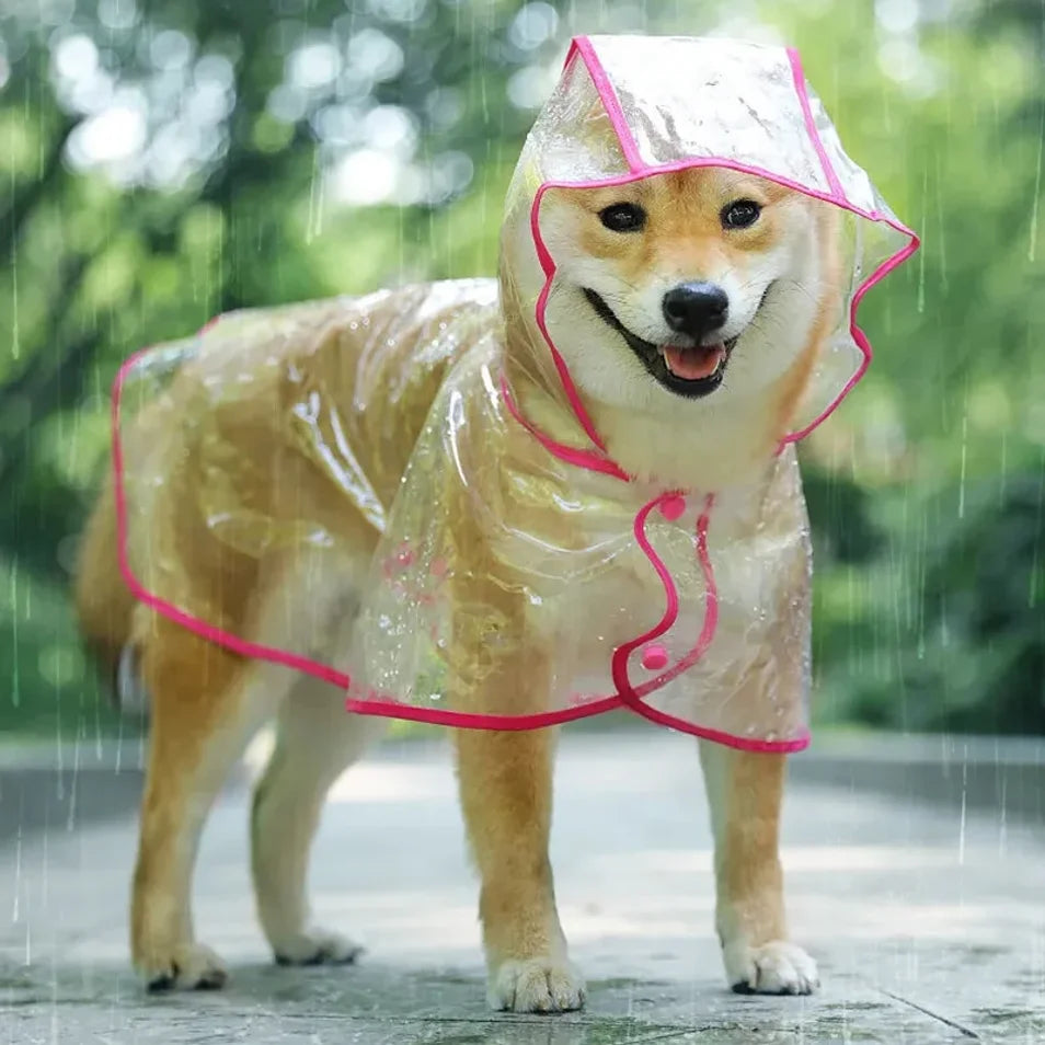 Chubasquero Transparente para Perros Pequeños y medianos – Impermeable con Capucha