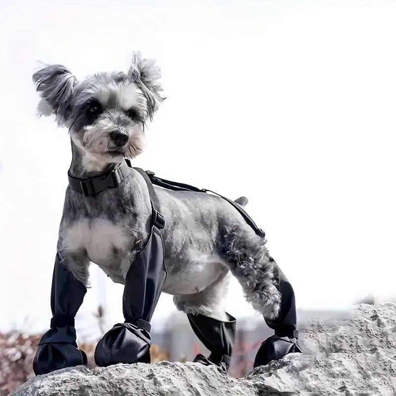 Zapatos Impermeables para Perros – Ajustables para Paseos Exteriores