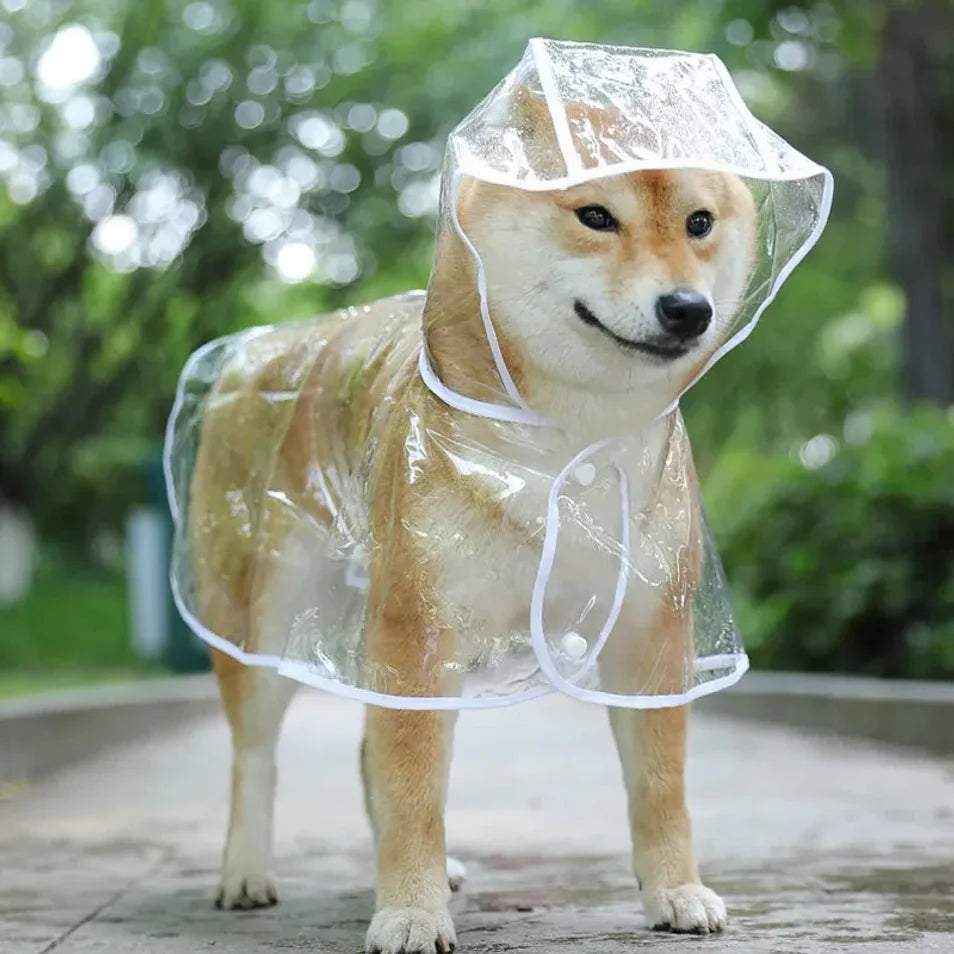 Chubasquero Transparente para Perros Pequeños y medianos – Impermeable con Capucha