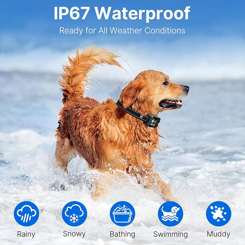 Collar GPS Inalámbrico con Valla Electrónica para Perros