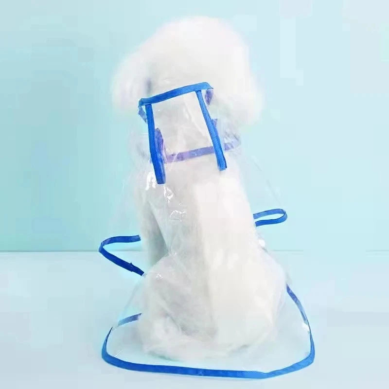Chubasquero Transparente para Perros Pequeños y medianos – Impermeable con Capucha