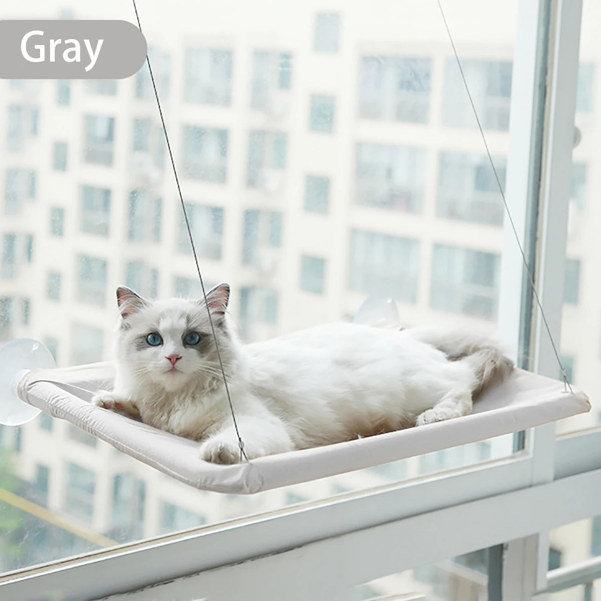 Hamaca para Gatos con Ventosa para Cristal – Capacidad 20 kg