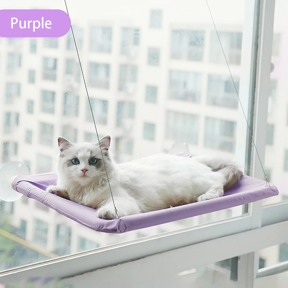 Hamaca para Gatos con Ventosa para Cristal – Capacidad 20 kg