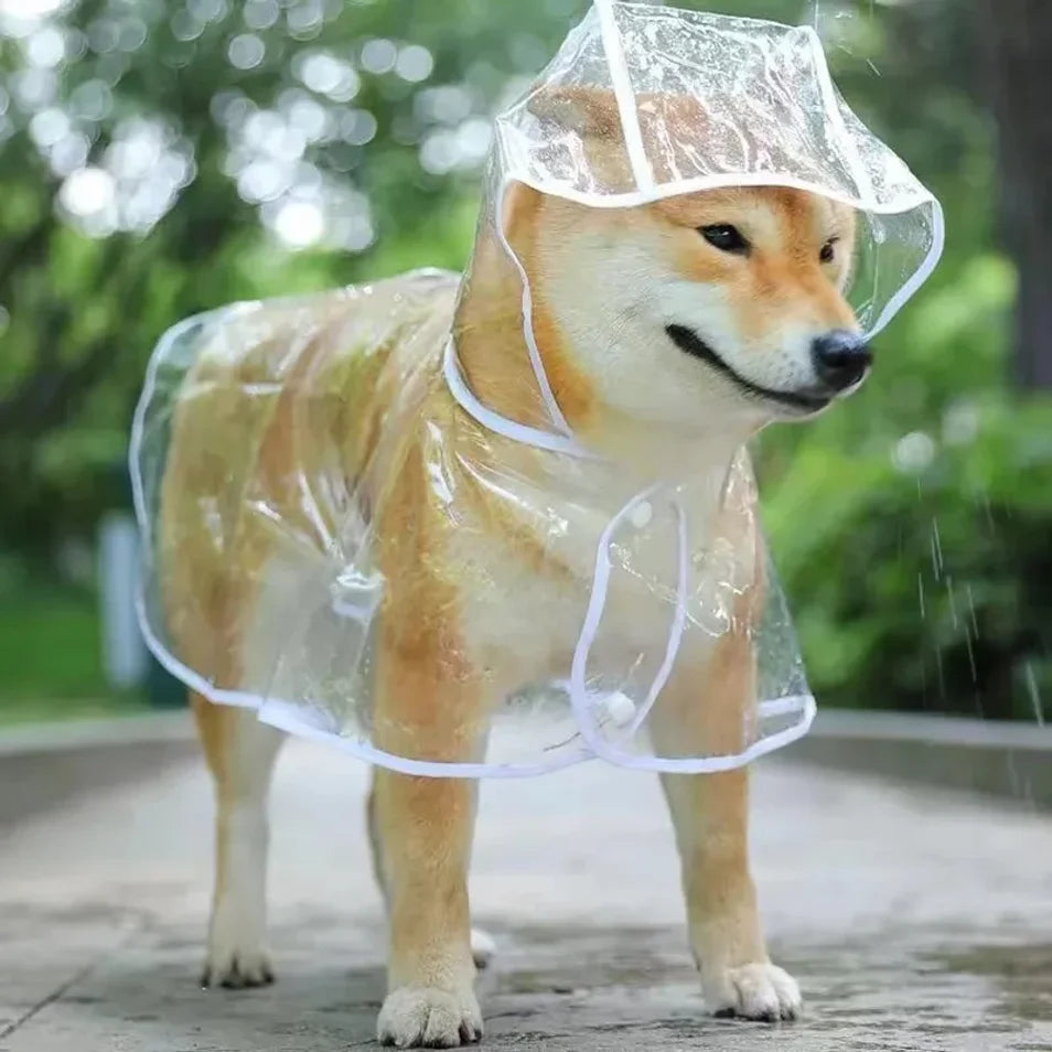 Chubasquero Transparente para Perros Pequeños y medianos – Impermeable con Capucha