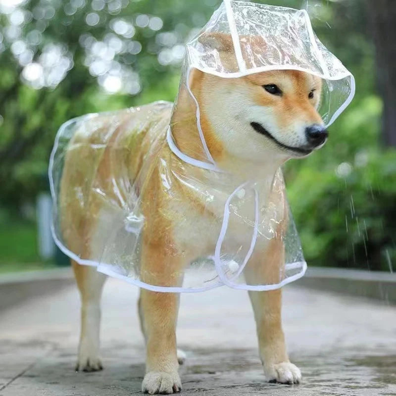 Chubasquero Transparente para Perros Pequeños y medianos – Impermeable con Capucha