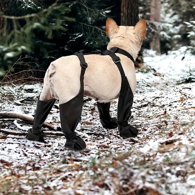 Zapatos Impermeables para Perros – Ajustables para Paseos Exteriores
