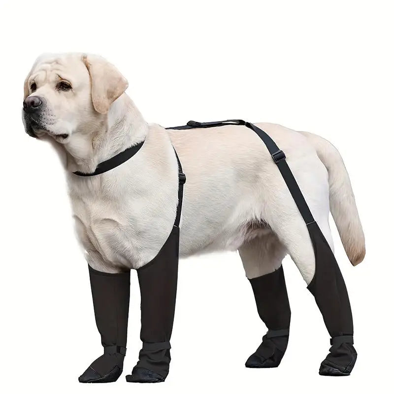 Zapatos Impermeables para Perros – Ajustables para Paseos Exteriores